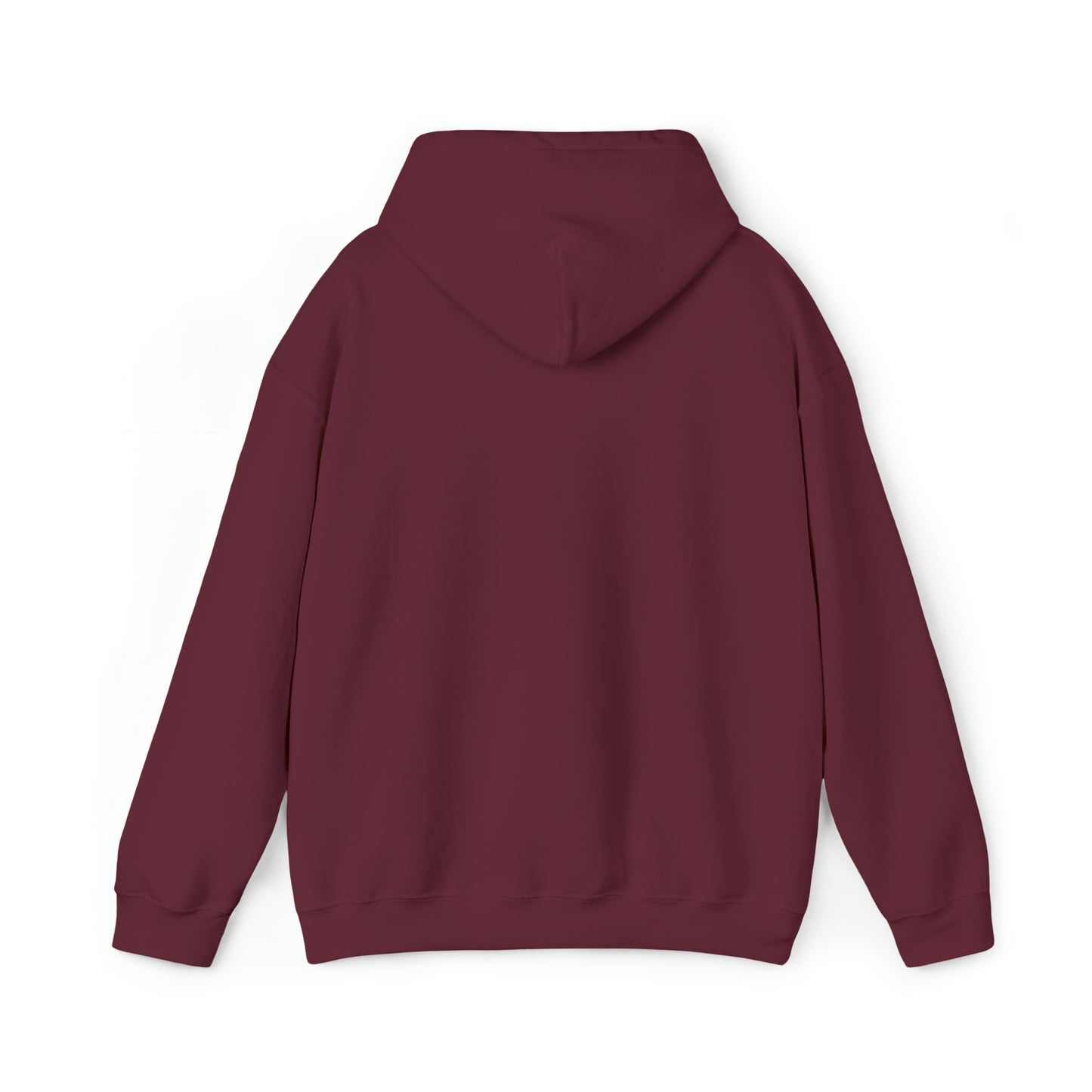 CENTURY SOCCER BEWARE THE PANTHER HOODIE