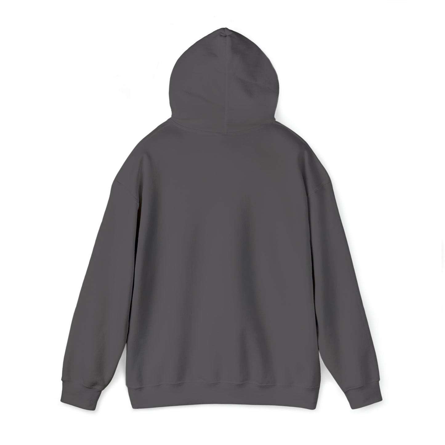 CENTURY SOCCER BEWARE THE PANTHER HOODIE