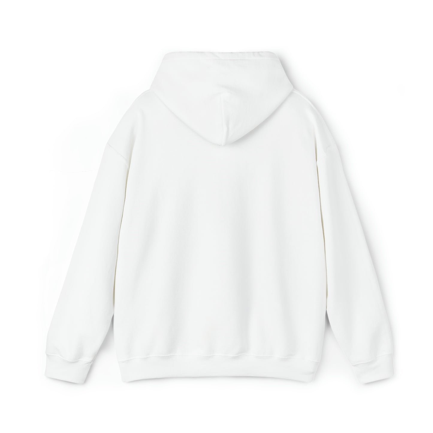 CENTURY SOCCER BEWARE THE PANTHER HOODIE