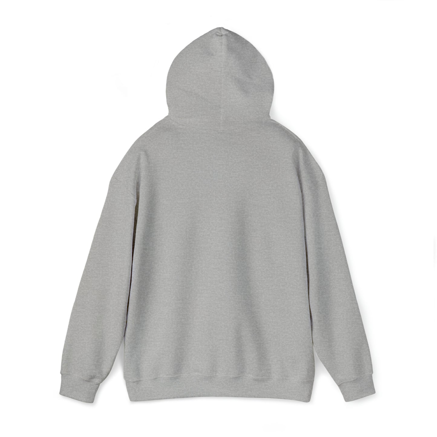 CENTURY SOCCER BEWARE THE PANTHER HOODIE