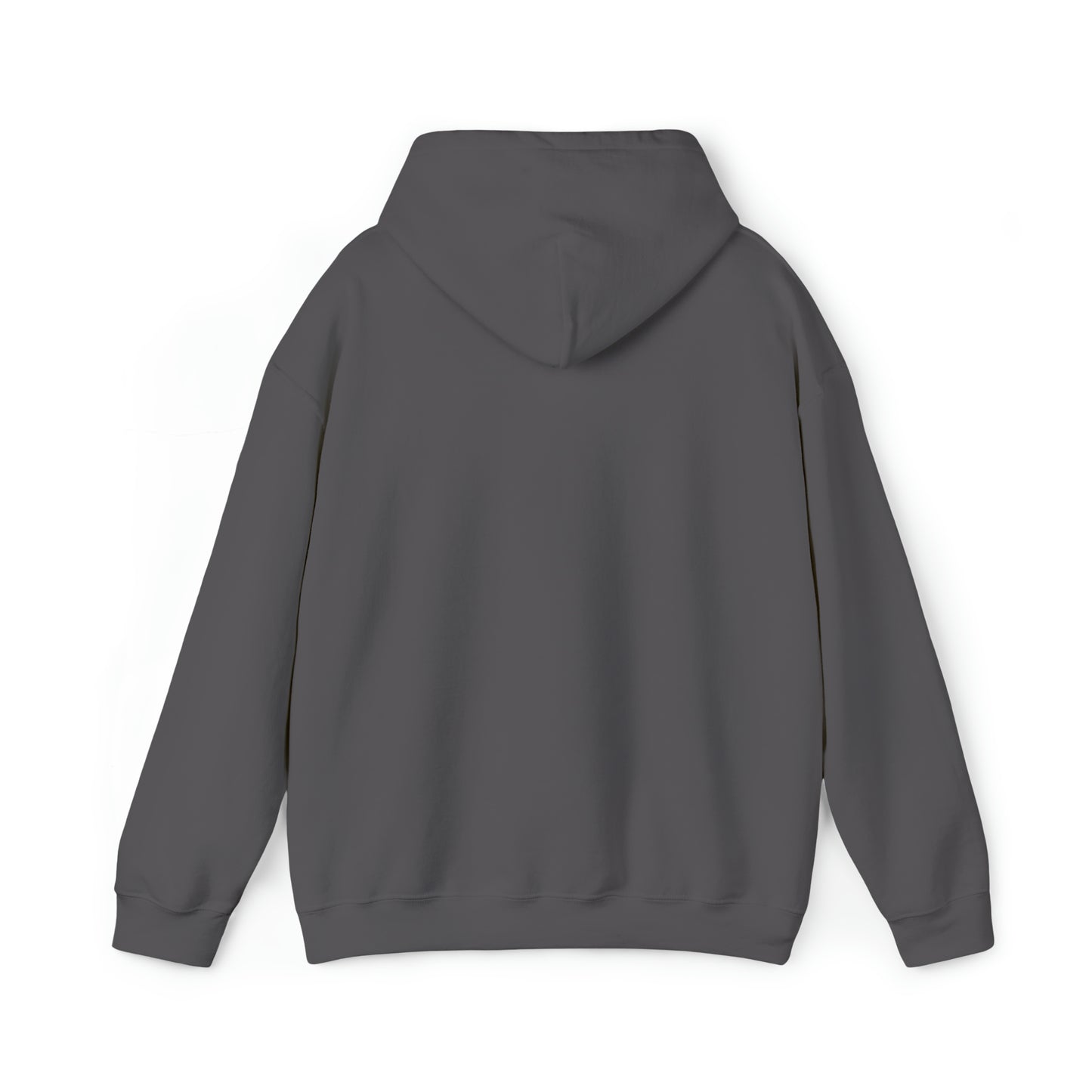 CENTURY SOCCER BEWARE THE PANTHER HOODIE