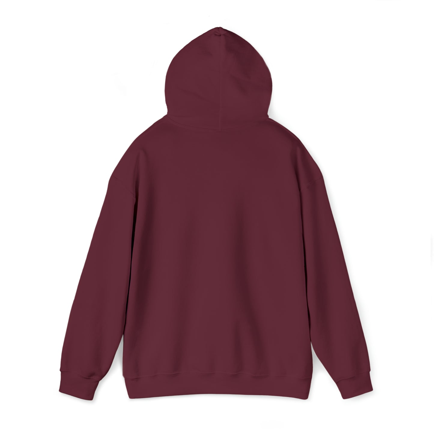 CENTURY SOCCER BEWARE THE PANTHER HOODIE